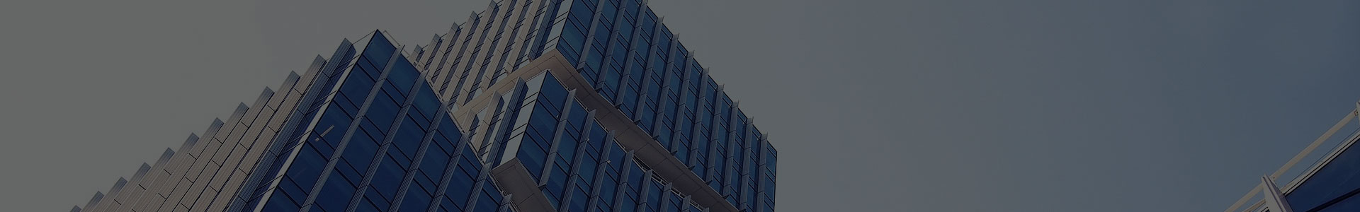 Jiaxing Xuanyi การค้าระหว่างประเทศจำกัด